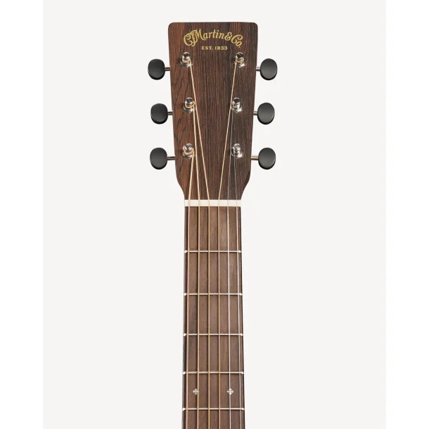 C.F. Martin D-10E Retro Sapele